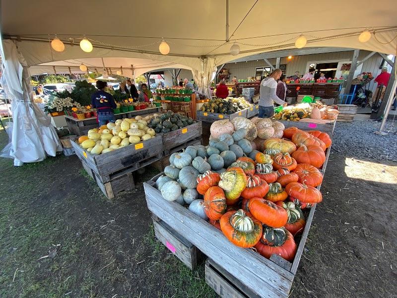 abricotier,CanaGuide,récolte,pépinière,plantation,pommier,arboriculture,poirier,fruits,prunier,Potager Mont-Rouge Halte Gourmande | Verger & Boutique | Orchard & Boutique,jardin fruitier,Rougemont,cerisier,arbre fruitier, Potager Mont-Rouge Halte Gourmande | Verger & Boutique | Orchard & Boutique - Verger à Rougemont (Quebec) | CanaGuide